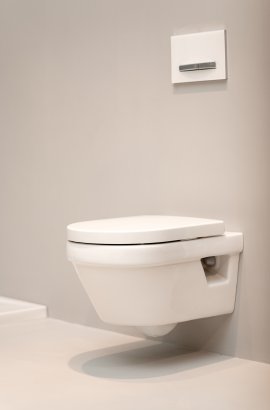 vancalstergeel-okt24-dsc08736-verbeterd-nr