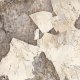 Patagonia